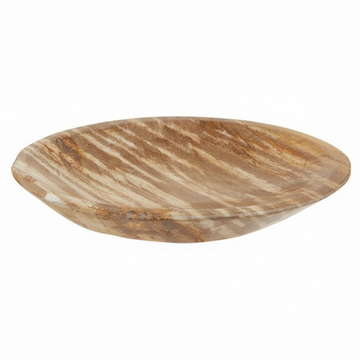 Relic Petrified Wood Small Bowl