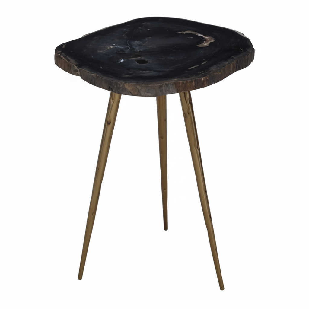 Relic Side Table With Petrified Wood Top and Brass Finish Legs