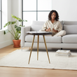 Relic Side Table With Petrified Wood Top and Brass Finish Legs