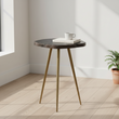 Relic Side Table With Petrified Wood Top and Brass Finish Legs
