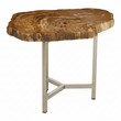 Relic Small Petrified Wood Side Table