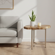 Relic Small Petrified Wood Side Table