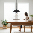 Revive Black Finish Pendant Light