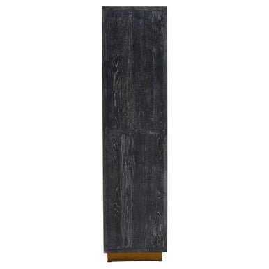 Roselle Recycled Elm Wood Cabinet With Brass Finish Base