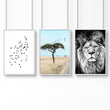 Safari Accessories For Bedroom | Set of 3 African Wildlife Wall art Prints