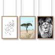 Safari Accessories For Bedroom | Set of 3 African Wildlife Wall art Prints