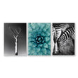 Safari Bedroom | Set of 3 African Wildlife Wall art Prints