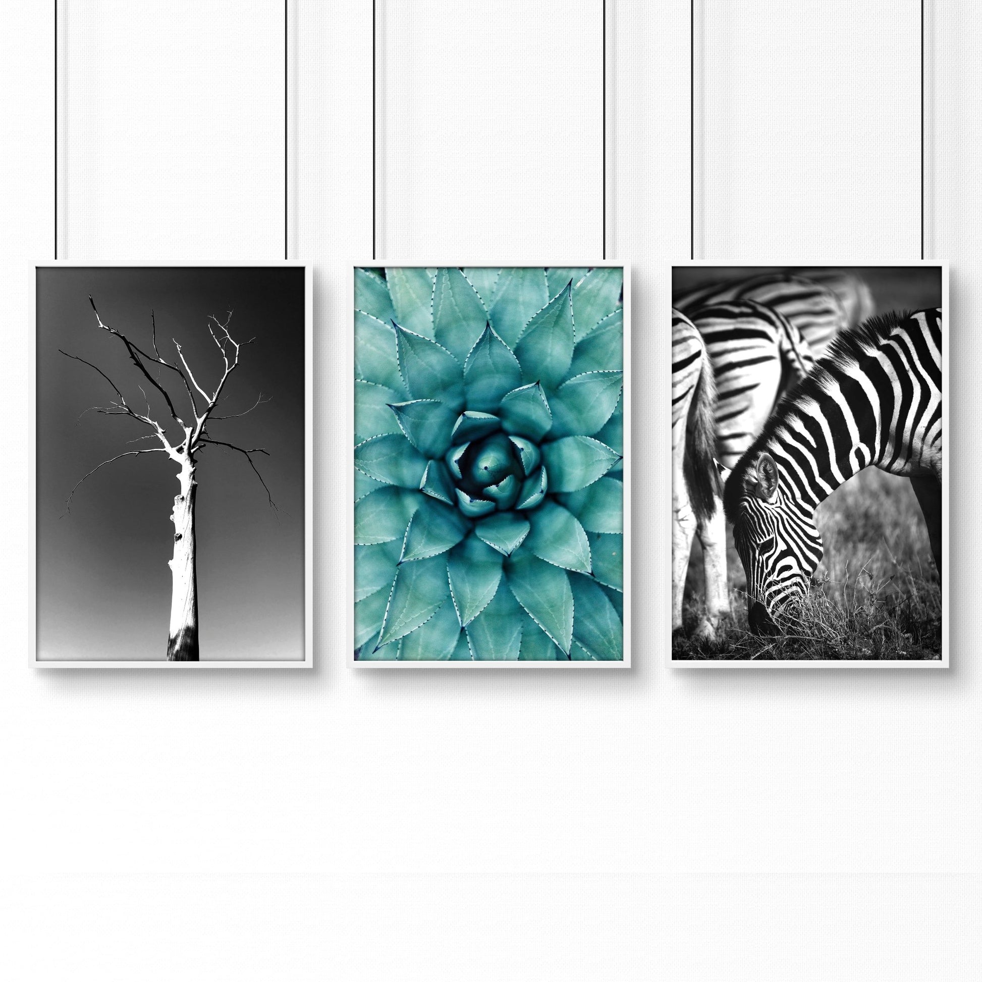 Safari Bedroom | Set of 3 African Wildlife Wall art Prints