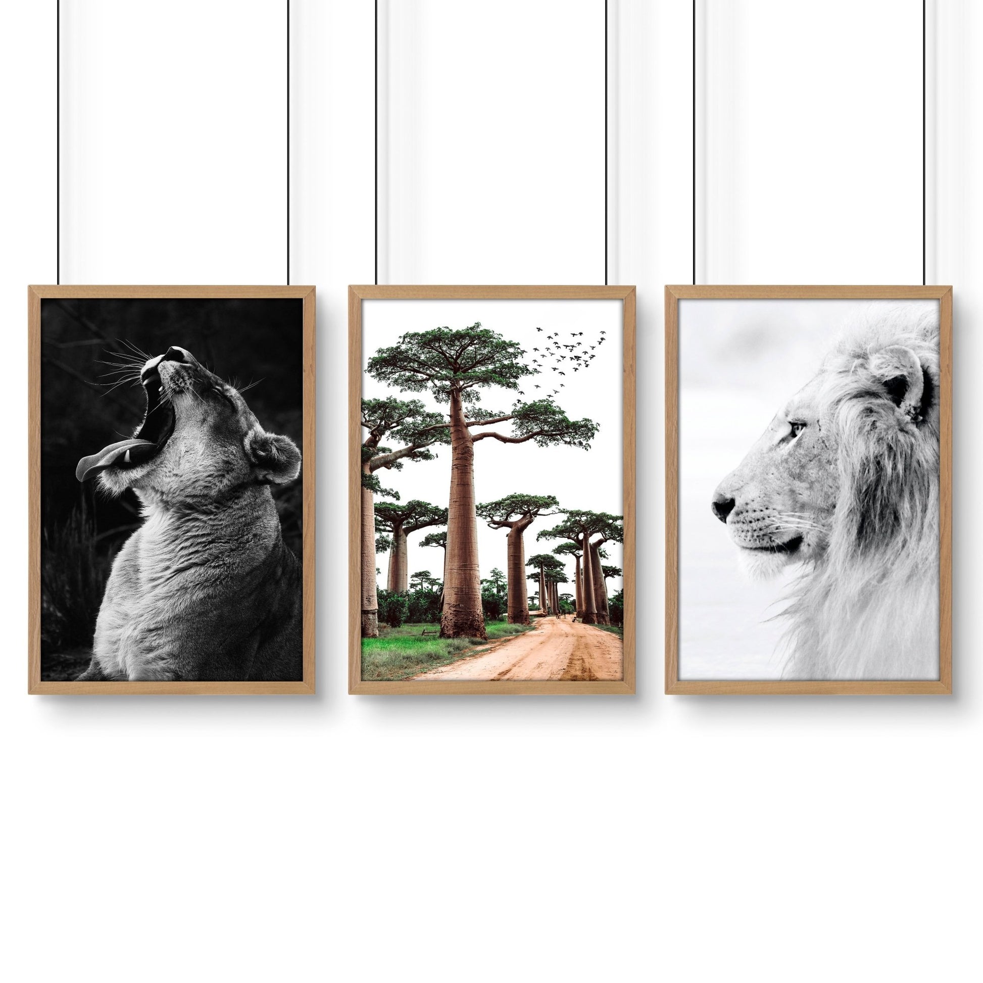 Safari Bedrooms | Set of 3 African Wildlife Wall art Prints