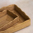 Saji Rattan Trays