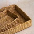 Saji Rattan Trays