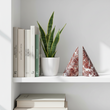 Salmo Set Of Two Red Marble Bookends