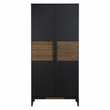Salvar 2 Door Cabinet