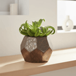 Salvo Small Ceramic Planter