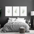 Set Of Botanical Prints | Set of 3 wall art prints