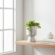 Shai Small Planter