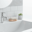 Shine Soap Dish