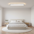 Simple Modern Ceiling Lamp
