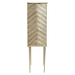 Sirsa Two Door Cabinet