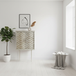 Sirsa Two Door Cabinet
