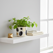 Yuri Small Ceramic Planter