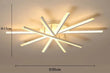 Solaris Light