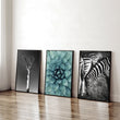 Soothing Wall Art | Set of 3 African Wildlife Wall art Prints