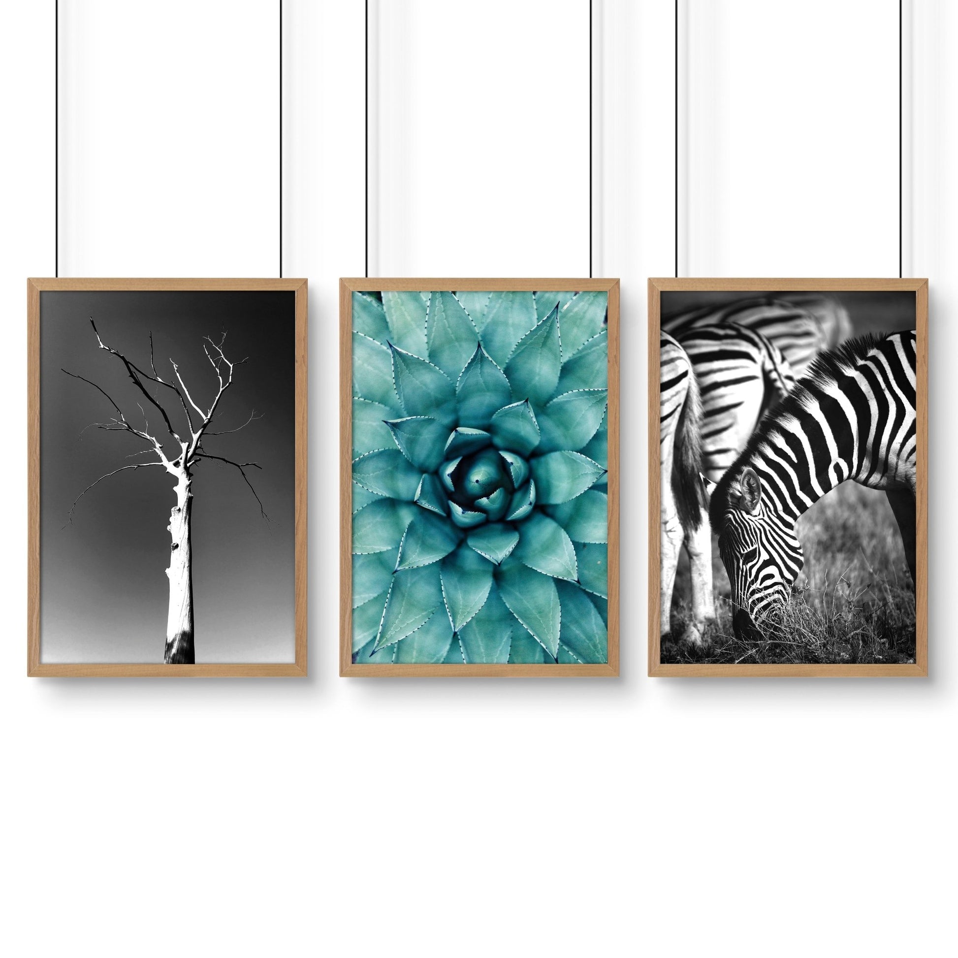 Soothing Wall Art | Set of 3 African Wildlife Wall art Prints