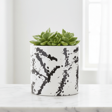 Sorrell Black And White Small Planter