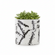 Sorrell Black And White Small Planter