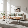 Surak Longan Wood Coffee Table
