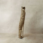 Swazi Cheetah - 37.1