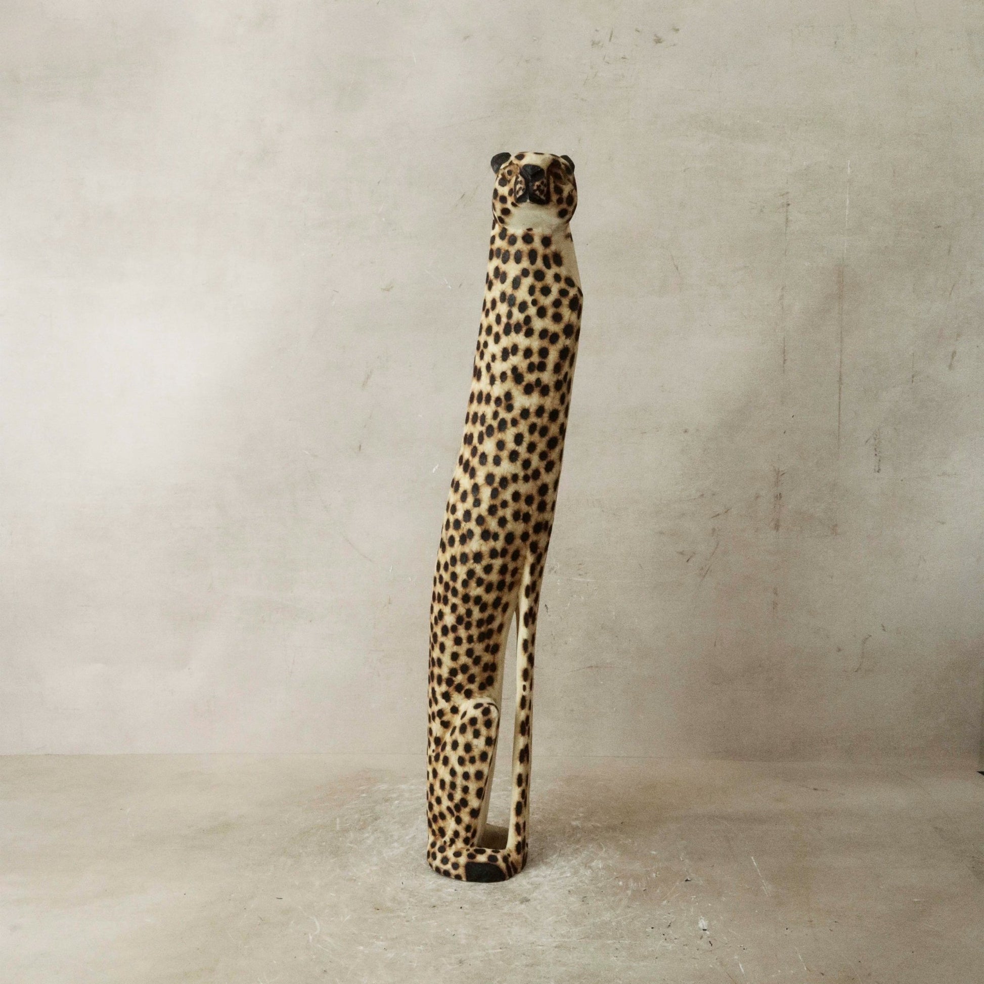 Swazi Cheetah - 37.1