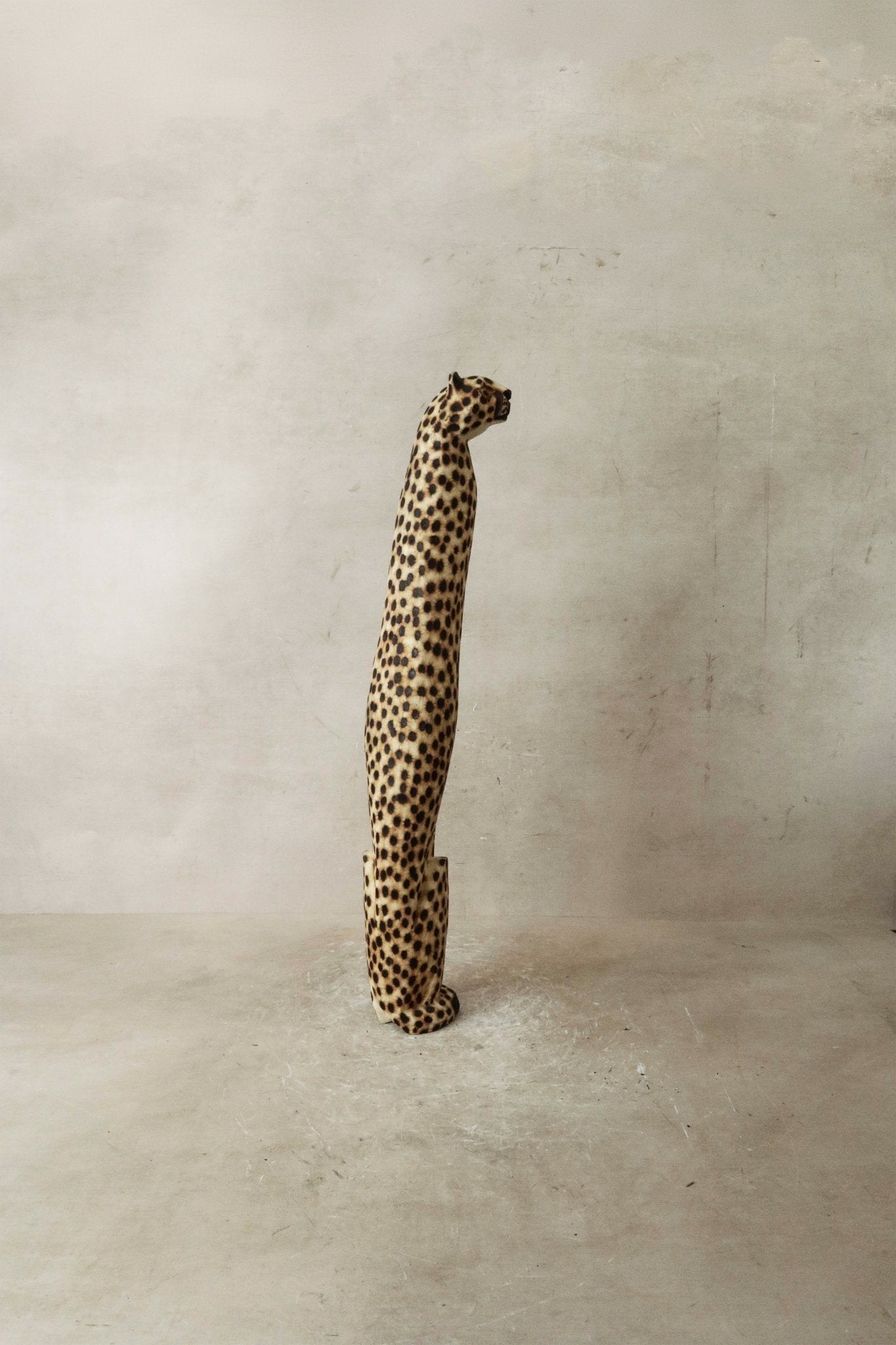 Swazi Cheetah - 37.1