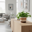 Tierra Earthenware Planter