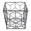Vertex Contour Storage Basket