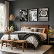 Vintage Posters Classic Car Detail Black & White Photography wall art displayed on a wall in a styled room — view 4