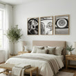 Vintage Posters Classic Car Detail Black & White Photography wall art displayed on a wall in a styled room — view 5