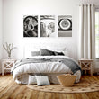 Vintage Posters Classic Car Detail Black & White Photography wall art displayed on a wall in a styled room — view 6