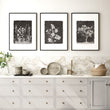 Wall Art for a Kitchen French Country Botanical Wildflowers & Blossom in Dark Brown & White displayed on a wall in a styled room — view 5
