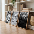 Wall Art for Grey Walls Living Room | Black & White Forest & Winter Landscape Photography Set of 3 displayed on a wall in a styled room — view 11