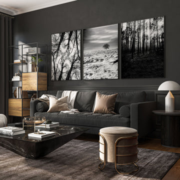 Wall Art for Grey Walls Living Room | Black & White Forest & Winter Landscape Photography Set of 3 displayed on a wall in a styled room