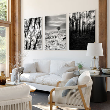 Wall Art for Grey Walls Living Room | Black & White Forest & Winter Landscape Photography Set of 3 displayed on a wall in a styled room — view 2