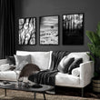 Wall Art for Grey Walls Living Room | Black & White Forest & Winter Landscape Photography Set of 3 displayed on a wall in a styled room — view 4