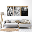 Wall Art for Grey Walls Living Room | Black & White Forest & Winter Landscape Photography Set of 3 displayed on a wall in a styled room — view 5