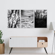 Wall Art for Grey Walls Living Room | Black & White Forest & Winter Landscape Photography Set of 3 displayed on a wall in a styled room — view 6