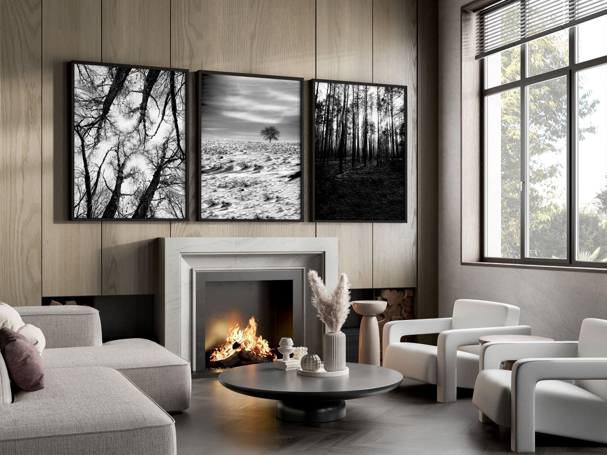 Wall Art for Grey Walls Living Room | Black & White Forest & Winter Landscape Photography Set of 3 displayed on a wall in a styled room — view 9