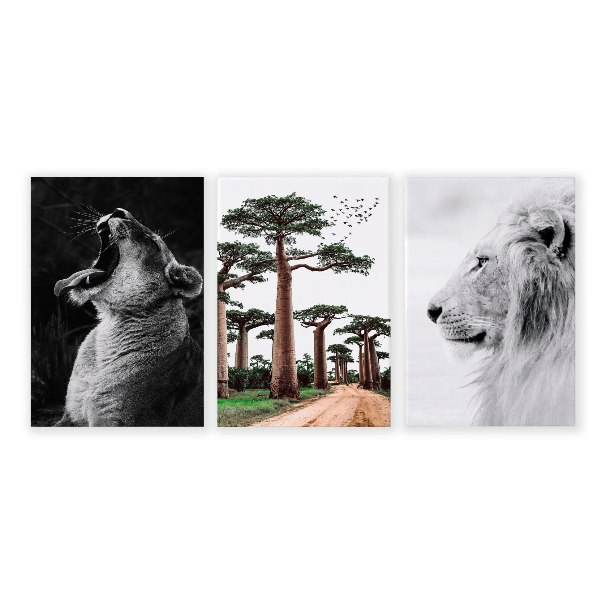 Wall Art For Living Room Canvas | Set of 3 African Wildlife Wall art Prints