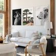 Wall Art For Living Room Canvas | Set of 3 African Wildlife Wall art Prints