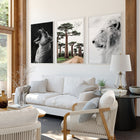 Wall Art For Living Room Canvas | Set of 3 African Wildlife Wall art Prints